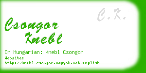 csongor knebl business card